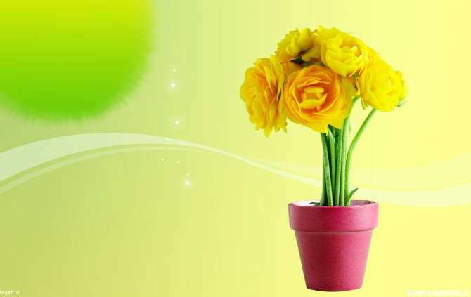 گلدان گل زرد - گالری تصاویر نقش