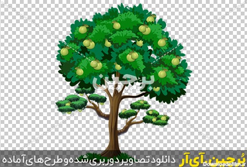 Borchin-ir-guava-fruit-tree-vector عکس کارتونی درخت میوه png2