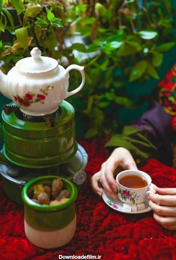نگاه تو همان چای اول صبح است؛ تازه و دلنشین و زیبا - عکس ویسگون