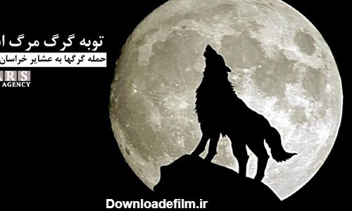 توبه گرگ مرگ است / روایتی از حمله گرگ‌ها به عشایر خراسان شمالی ...