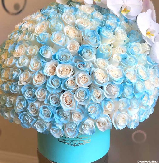 باکس گل رز آبی آسمانی و سفید با ارکیده