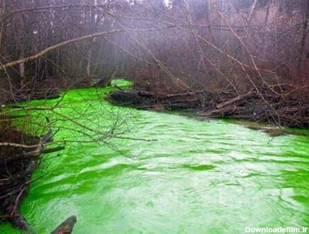 تصاویر عجیب: رودخانه‌ای به رنگ سبز - تابناک | TABNAK