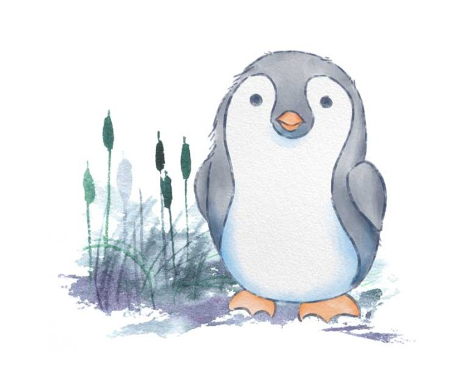 طرح لایه باز کلیپ آرت نقاشی پنگوئن