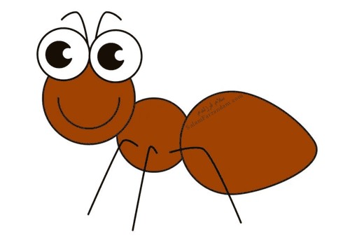 آموزش نقاشی مورچه - پنجره ای به دنیای کودکان