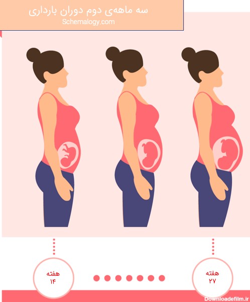 سه ماهه دوم دوران بارداری