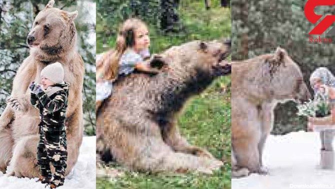 این دختر زیبای روس دوست وحشی ترین خرس جهان است + عکس های ...