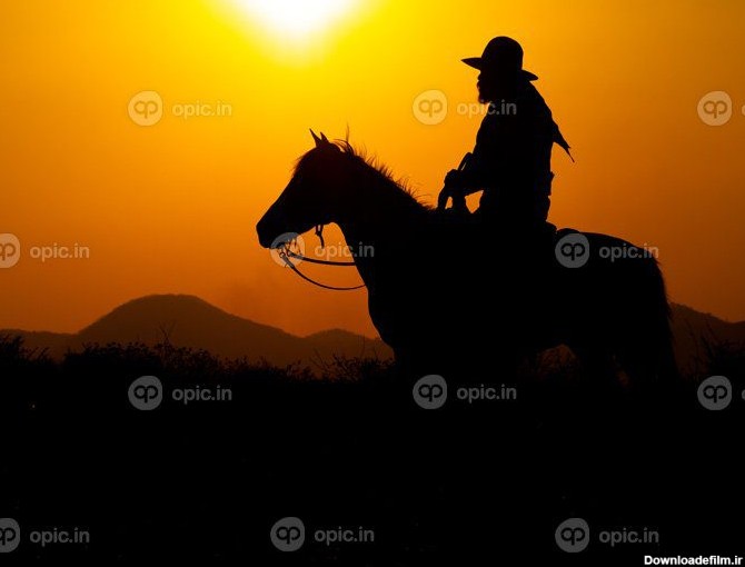 دانلود عکس کابوی های غربی سوار بر اسب زیر آفتاب نشسته اند و | اوپیک