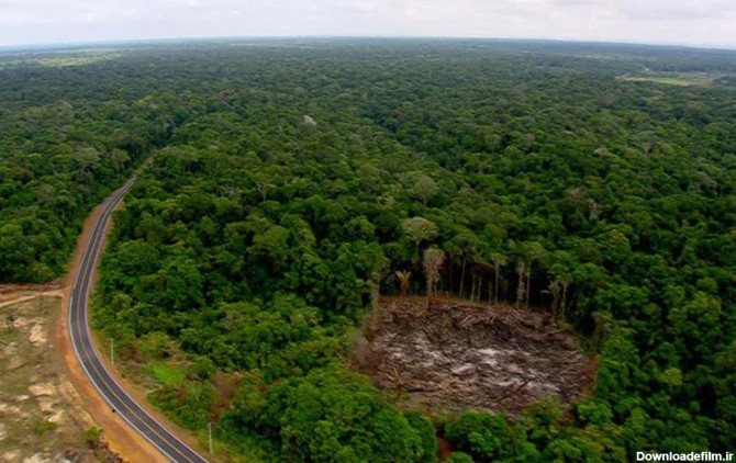 جنگل های آمازون آمریکا؛ تاریخچه، دیدنی‌ها و تصاویر | مجله علی بابا