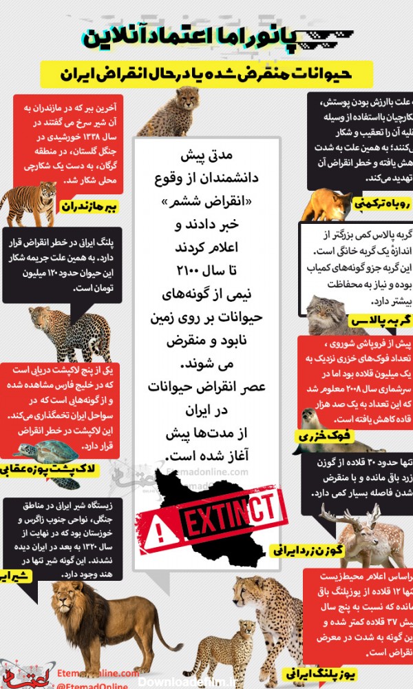 عکس حیوانات منقرض شده در ایران