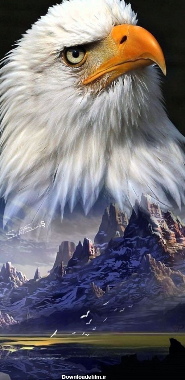 تصویر زمینه از عقاب