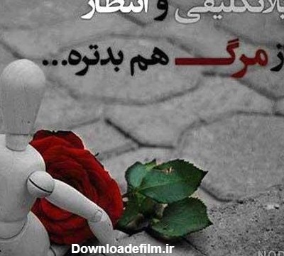 عکس عشق انتظار - عکس نودی