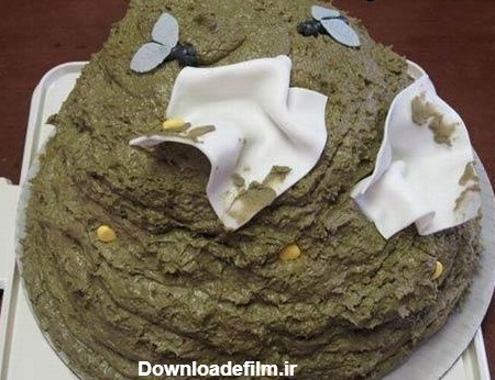 کیک تولد چندش آور - عکس ویسگون