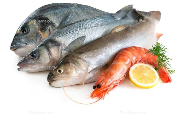 تصویر با کیفیت میگو و ماهی قزل آلا با لیمو