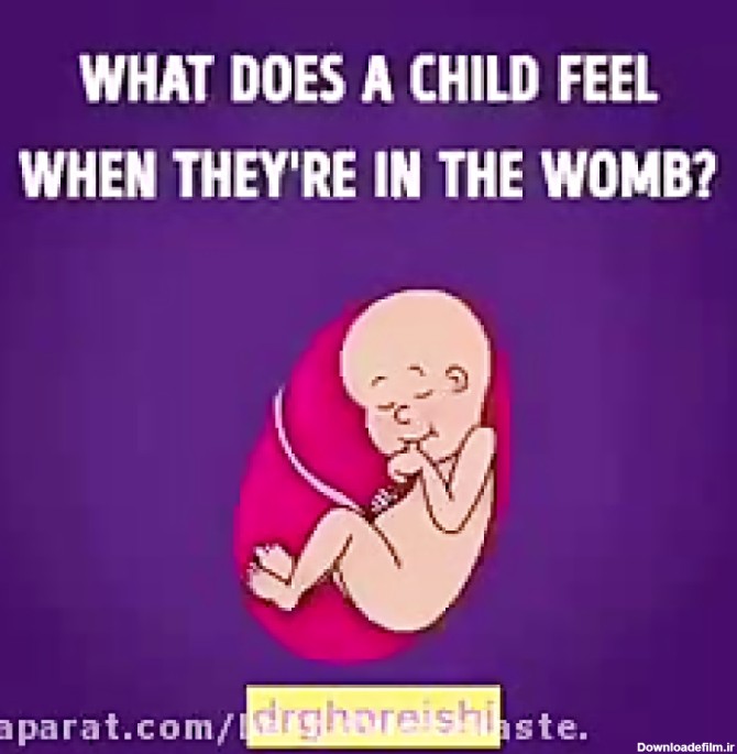 احساسات جنین در شکم مادر