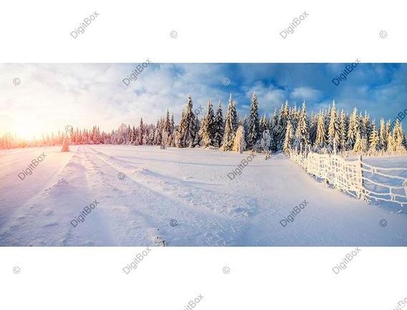 عکس منظره زمستانی - دیجیت باکس - DigitBox