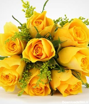 عکس با کیفیت دسته گل بسیار زیبا از گل های رز زرد