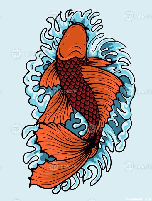 دانلود تصویر ماهی کوی با سبک ژاپنی قدیمی | اوپیک