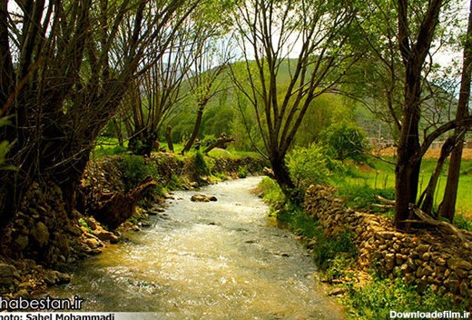 طبیعت محشر کردستان (عکس)