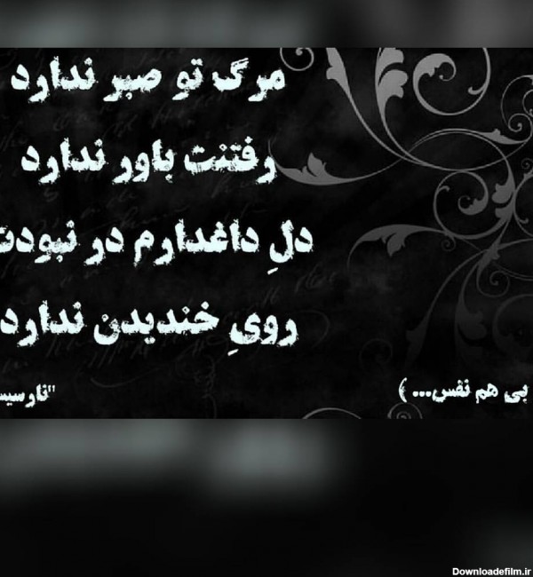 به یاد عموی عزیزم و بابا محمد...روحتون شاد😔 بی هم نفس - عکس ویسگون