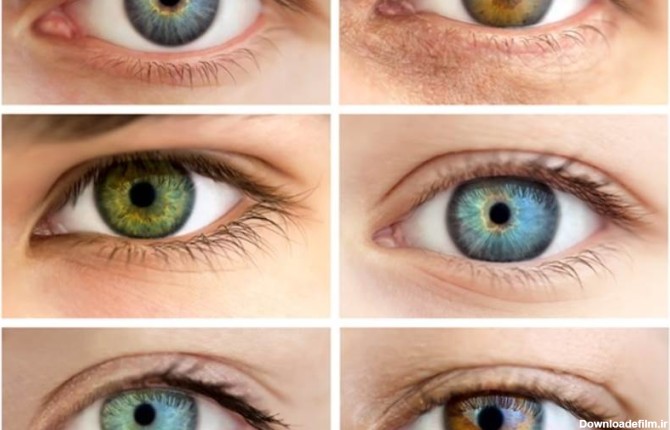 آیا رنگ چشم توسط ژنتیک تعیین می‌شود؟ - بلاگ
