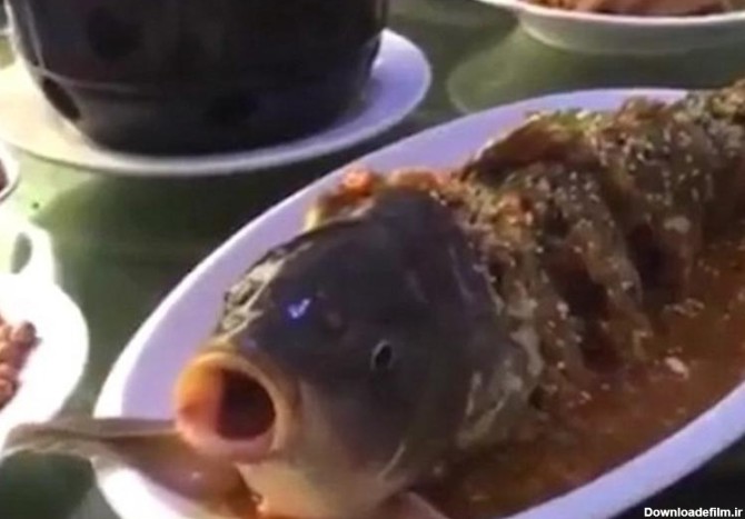 زنده شدن ماهی در ظرف غذای یک چینی + عکس - مهین فال