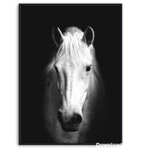 تابلو اسب سفید