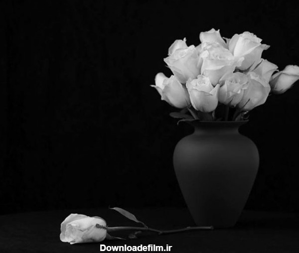 عکاسی سیاه سفید ⭐| راهنمای کامل عکاسی سیاه و سفید-مجله نورنگار