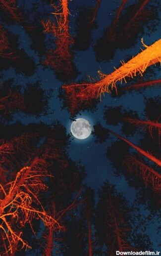 عکس ماه برای تصویر زمینه گوشی