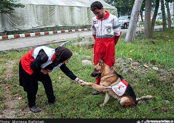 دوره آموزشی تخصصی سگ های زنده یاب هلال احمر | خبرگزاری فارس