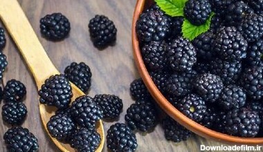 خواص توت سیاه و برگ توت سیاه برای دیابت و کلسترول + مضرات، خواص درمانی و عوارض توت سیاه