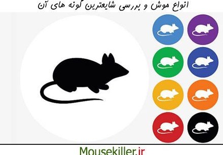 بررسی انواع موش