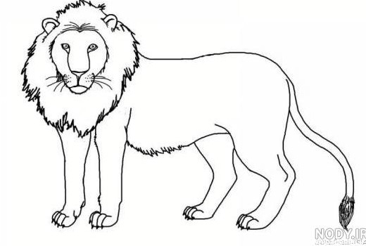 نقاشی ساده شیر جنگل - عکس نودی