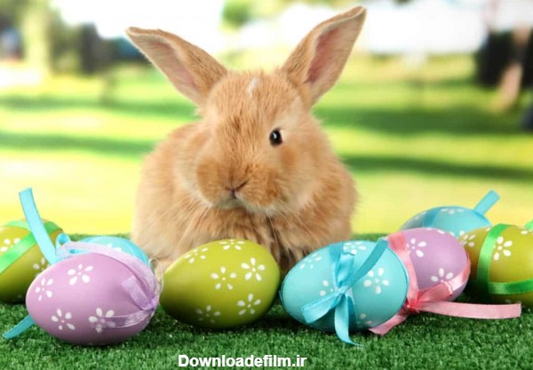 عید پاک چه روزی است و چرا خرگوش و تخم مرغ سمبل آن است؟ | مالتینا بلاگ