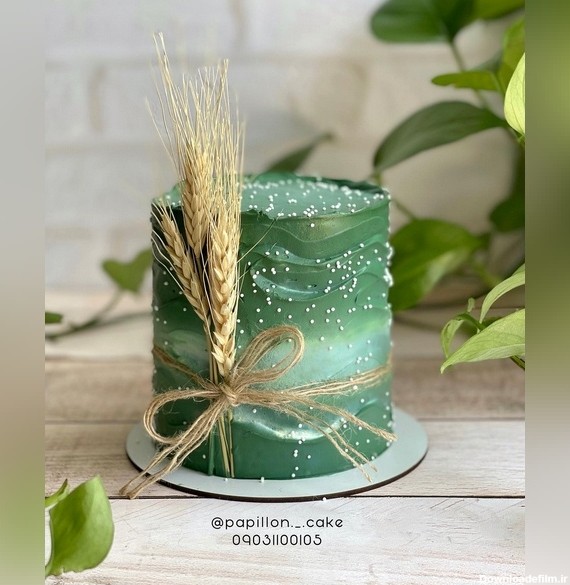 کیک سبز رنگ 2023؛ ایده های جدید و ناب از انواع تزیین کیک سبز رنگ