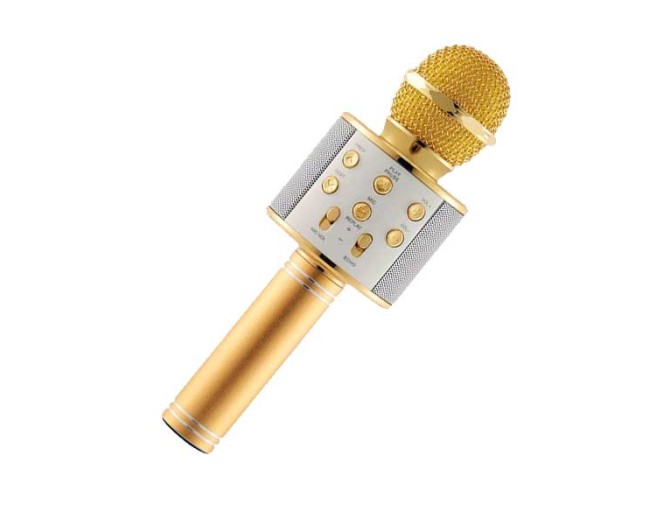 میکروفون + اسپیکر 858 طلایی | فروش و پخش عمده تک استور