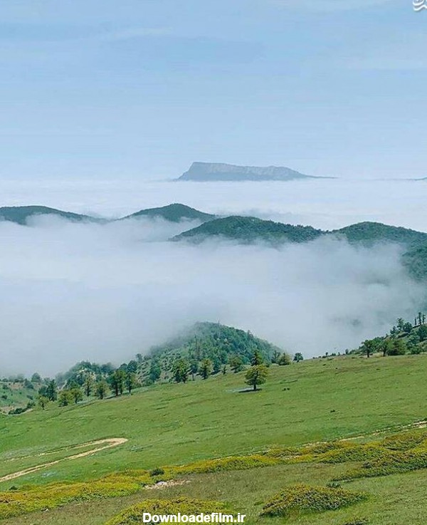 نمایی زیبا از جنگل ابر در شاهرود +عکس