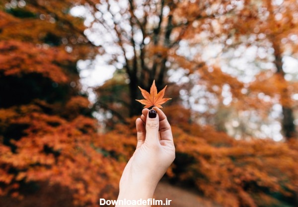 عکس دست و برگ پاییزی عاشقانه + متن های زیبایی در مورد فصل پاییز