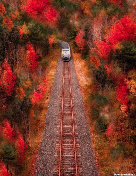 طرح پوستر دیواری ریل قطار با درختان پاییزی