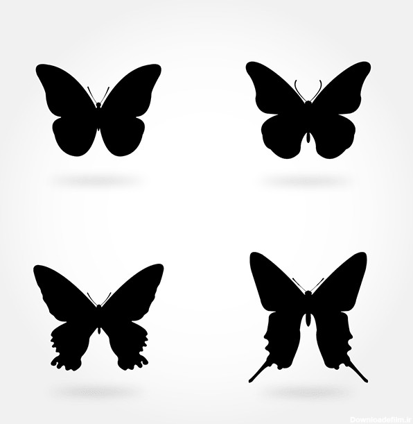 وکتور پروانه سیاه و سفید 15 | وکتورلو